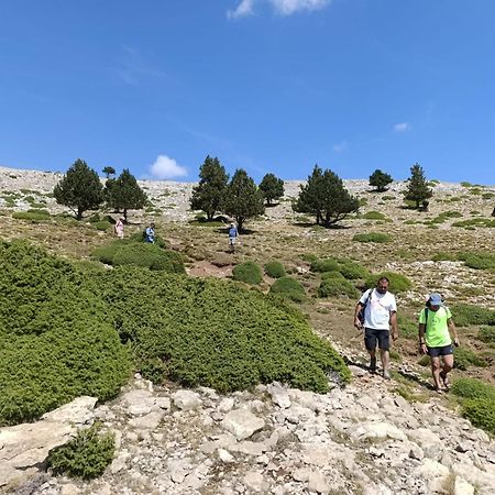 Apartament Dinosaur House Coll de Nargó Zewnętrze zdjęcie